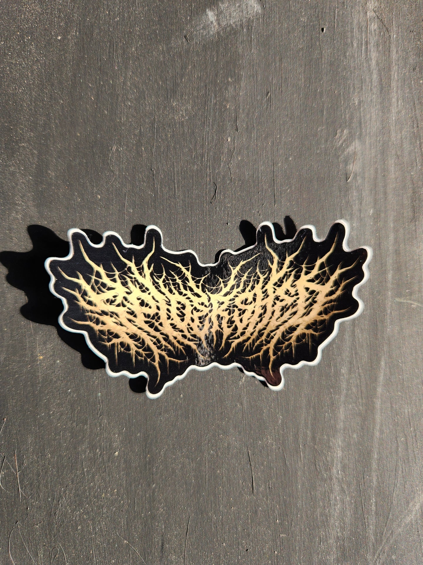 Spider Shed Logo Sticker